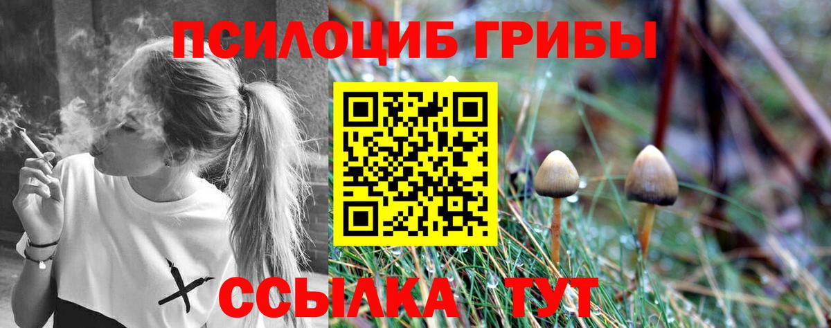 Кувандык  Галлюциногенные грибы прущие грибы  Вход с VPN 
