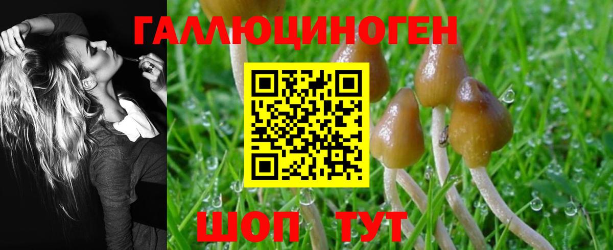 Галлюциногенные грибы Magic Shrooms Кувандык
