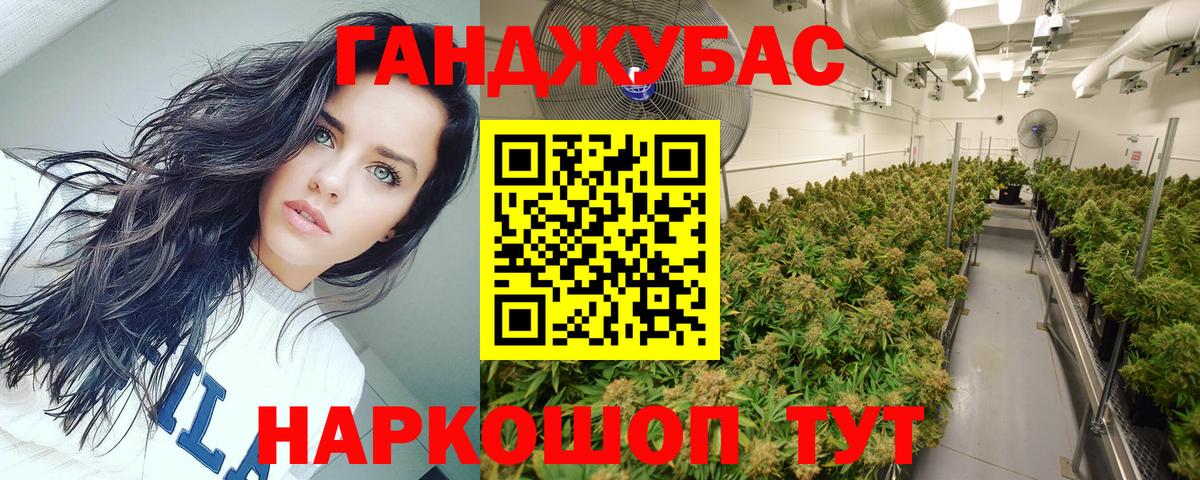 Шишки марихуана ГИДРОПОН  Вход с VPN  МАРИХУАНА THC 21%  Бошки марихуана VHQ  Канабис индика  Кувандык 
